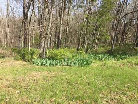 105 Bob White Path, Georgetown, KY 40324 photo 2
