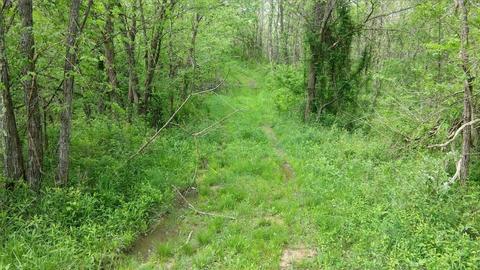 957 Burton Rd, Georgetown, KY 40324 photo 23
