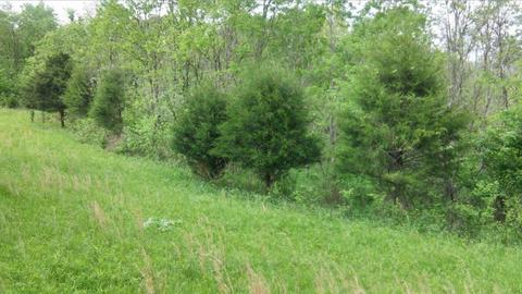 957 Burton Rd, Georgetown, KY 40324 photo 17