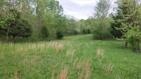 957 Burton Rd, Georgetown, KY 40324 photo 15