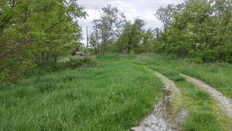 957 Burton Rd, Georgetown, KY 40324 photo 20
