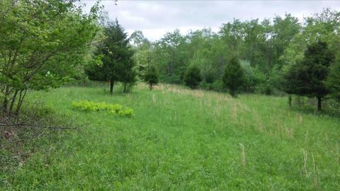 957 Burton Rd, Georgetown, KY 40324 photo 11