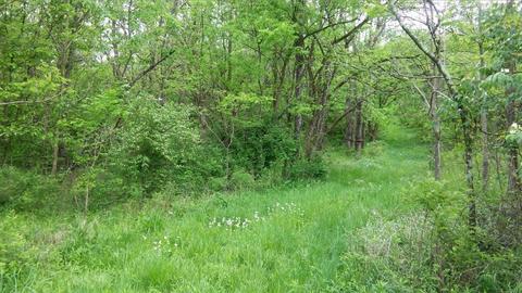 957 Burton Rd, Georgetown, KY 40324 photo 9
