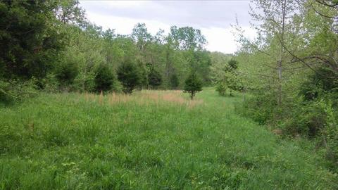 957 Burton Rd, Georgetown, KY 40324 photo 14