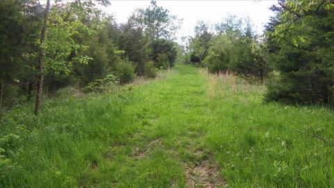 957 Burton Rd, Georgetown, KY 40324 photo 10