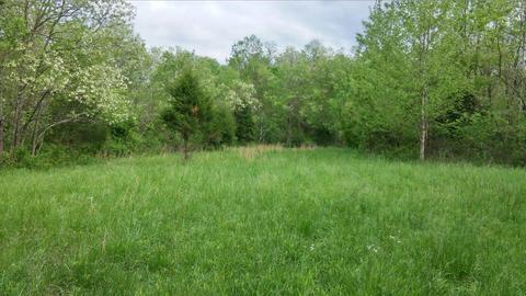 957 Burton Rd, Georgetown, KY 40324 photo 19