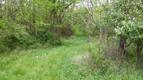 957 Burton Rd, Georgetown, KY 40324 photo 29
