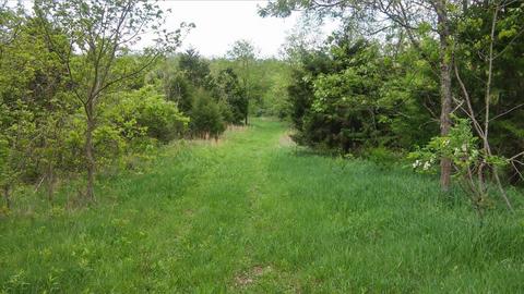 957 Burton Rd, Georgetown, KY 40324 photo 28
