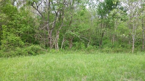 957 Burton Rd, Georgetown, KY 40324 photo 18