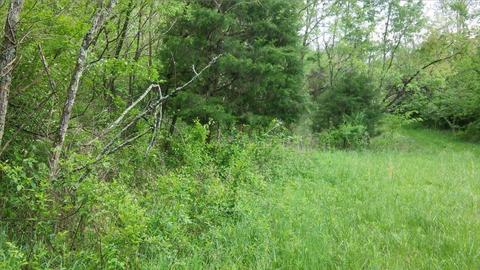 957 Burton Rd, Georgetown, KY 40324 photo 24