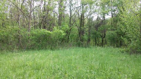 957 Burton Rd, Georgetown, KY 40324 photo 22