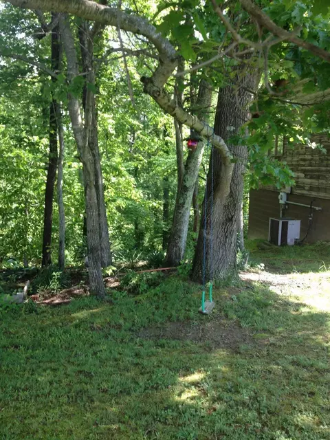 2006 Clearfield Ct, Corbin, KY 40701 photo 30