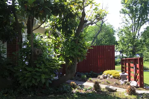 194 Maple, Stanton, KY 40380 photo 10
