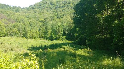 2915 Mckee Rd, Irvine, KY 40336 photo 7