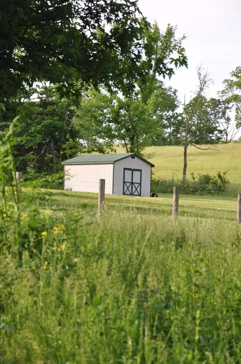 4932 Abners Ml, Ewing, KY 41039 photo 66