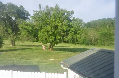 4932 Abners Ml, Ewing, KY 41039 photo 60