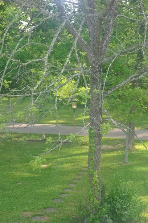 4932 Abners Ml, Ewing, KY 41039 photo 63