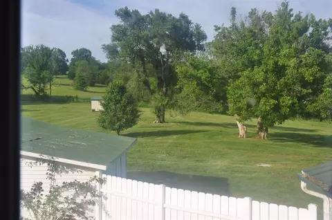 4932 Abners Ml, Ewing, KY 41039 photo 59