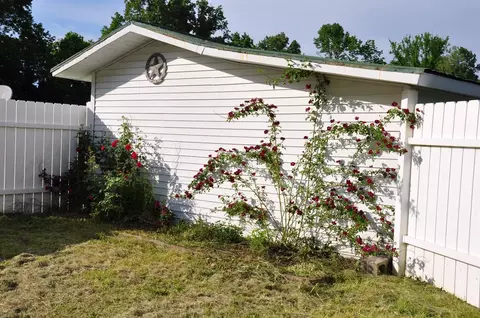 4932 Abners Ml, Ewing, KY 41039 photo 7