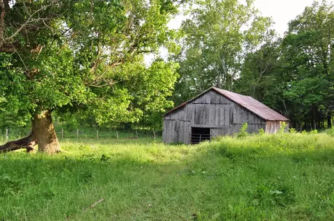 4932 Abners Ml, Ewing, KY 41039 photo 67