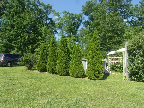 156 Muzzle Loader Club Rd, Corbin, KY 40701 photo 4