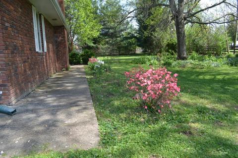 117 Lynette Dr, Georgetown, KY 40324 photo 47
