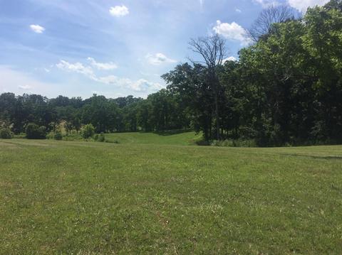 398 E Honaker, Georgetown, KY 40379 photo 43