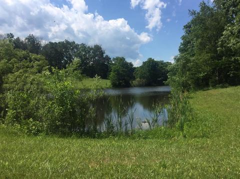 398 E Honaker, Georgetown, KY 40379 photo 56