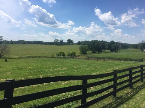 398 E Honaker, Georgetown, KY 40379 photo 4