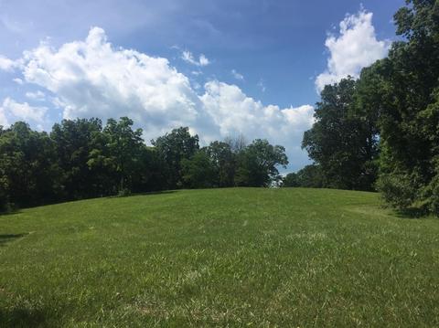 398 E Honaker, Georgetown, KY 40379 photo 52