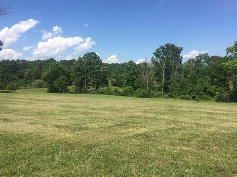 398 E Honaker, Georgetown, KY 40379 photo 45