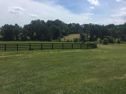 398 E Honaker, Georgetown, KY 40379 photo 49