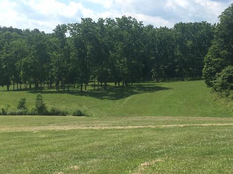 398 E Honaker, Georgetown, KY 40379 photo 51