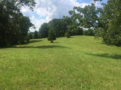 398 E Honaker, Georgetown, KY 40379 photo 64