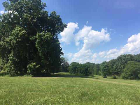 398 E Honaker, Georgetown, KY 40379 photo 54