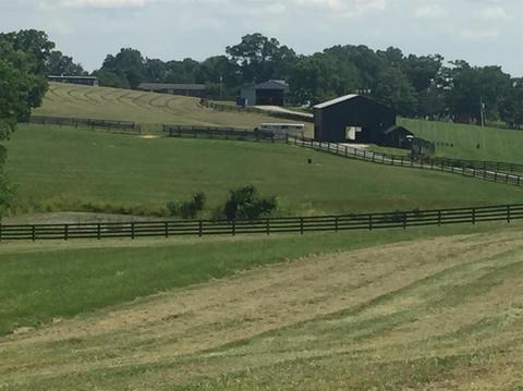 398 E Honaker, Georgetown, KY 40379 photo 41