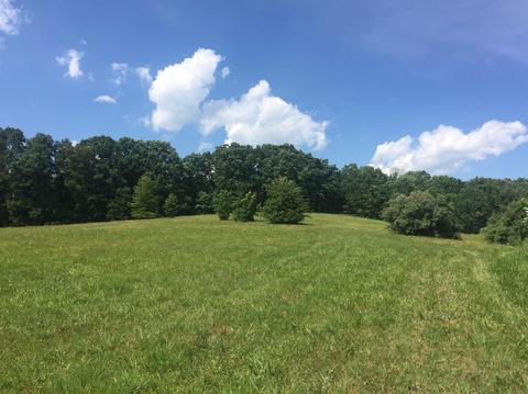 398 E Honaker, Georgetown, KY 40379 photo 58