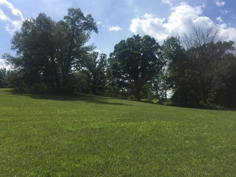 398 E Honaker, Georgetown, KY 40379 photo 59