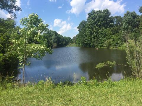 398 E Honaker, Georgetown, KY 40379 photo 35