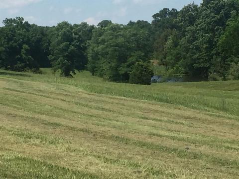 398 E Honaker, Georgetown, KY 40379 photo 40