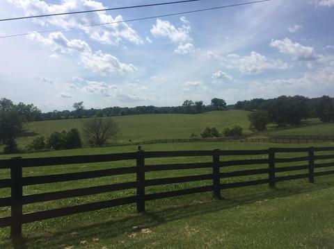 398 E Honaker, Georgetown, KY 40379 photo 66