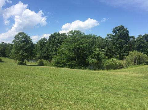398 E Honaker, Georgetown, KY 40379 photo 55