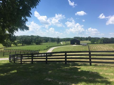 398 E Honaker, Georgetown, KY 40379 photo 1