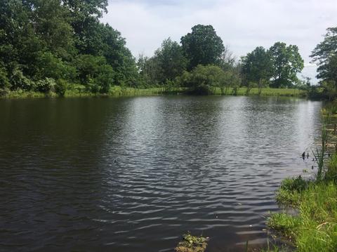 398 E Honaker, Georgetown, KY 40379 photo 60