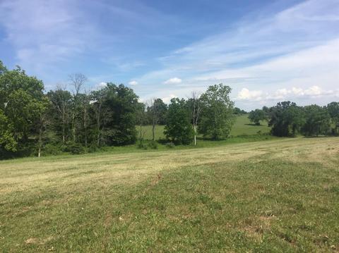 398 E Honaker, Georgetown, KY 40379 photo 46