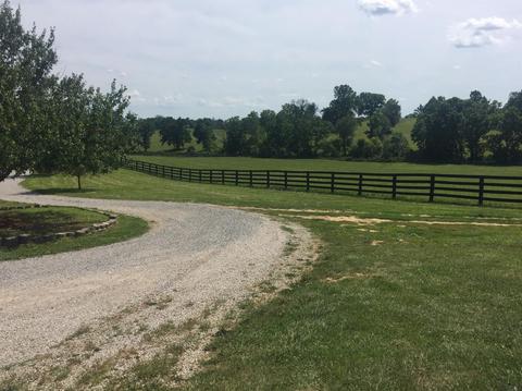 398 E Honaker, Georgetown, KY 40379 photo 50