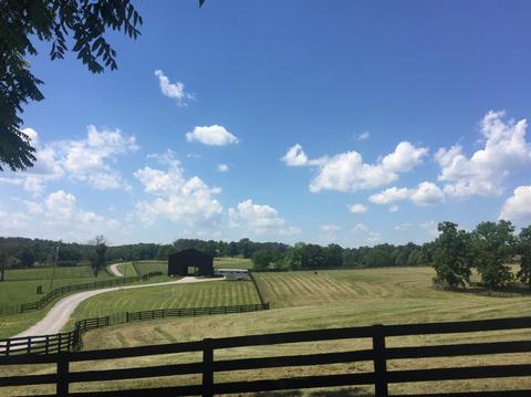 398 E Honaker, Georgetown, KY 40379 photo 34
