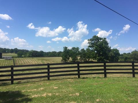 398 E Honaker, Georgetown, KY 40379 photo 33