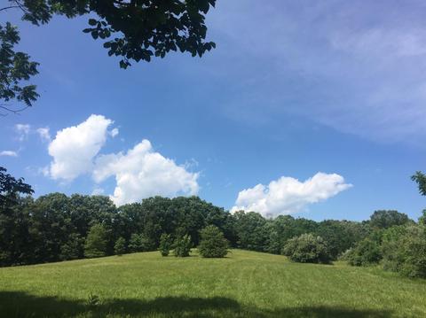 398 E Honaker, Georgetown, KY 40379 photo 57