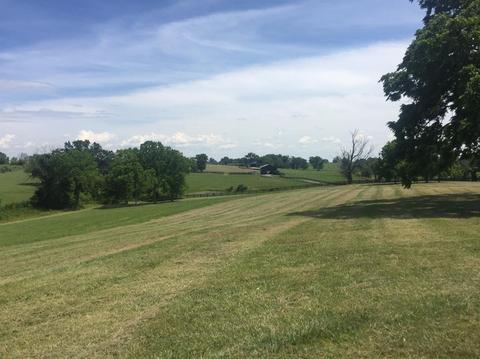 398 E Honaker, Georgetown, KY 40379 photo 38